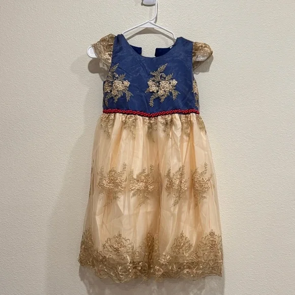 Charming Blue and Gold Embroidered Dress - Picture 1 of 5